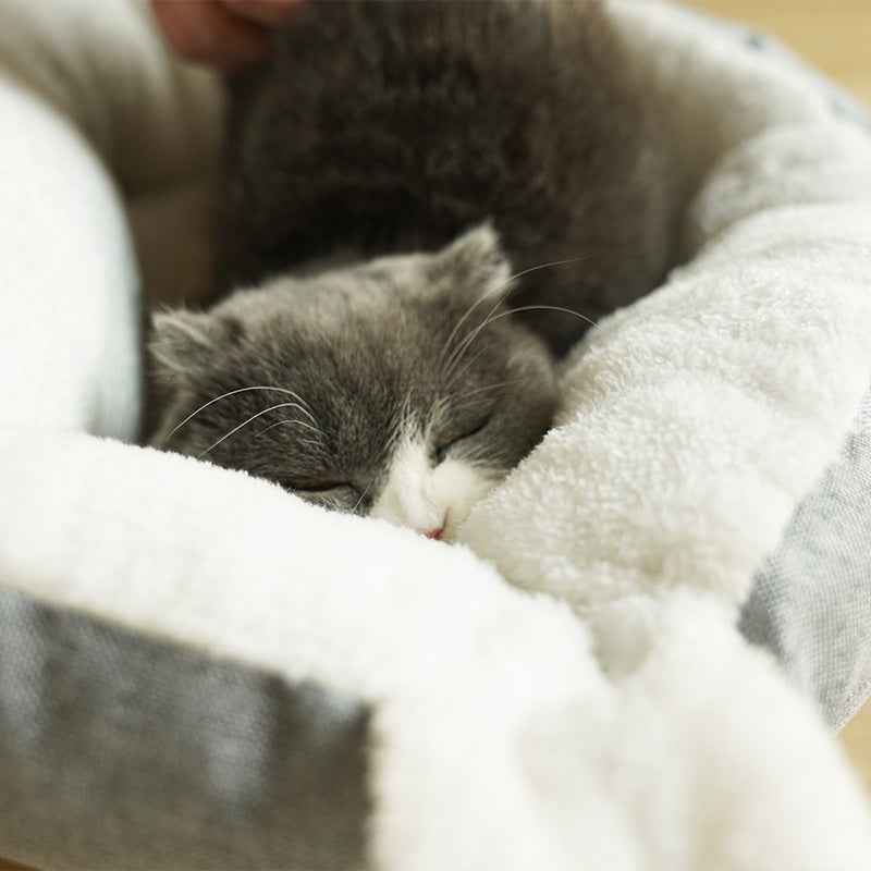 Capsule Cocon pour Chat : Un Refuge Douillet et Apaisant